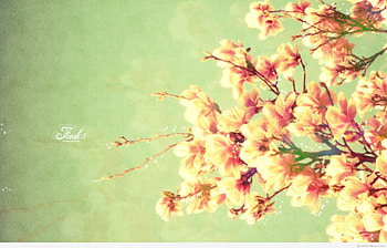 Cool Backgrounds For Girls JPEG, PNG Format 500Ã750 Backgrounds For Girls HD wallpaper